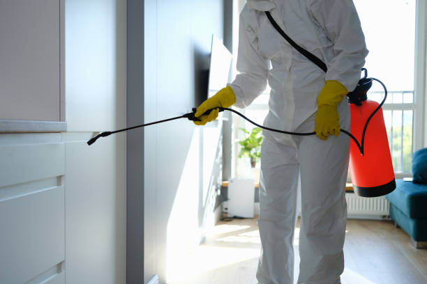 Best Mold Remediation for Specific Building Types in Etna, PA